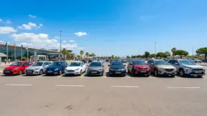 Ряд арендных авто разных классов на летней парковке